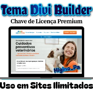 Tema Wordpress Divi + Atualizações e Bônus - Outros