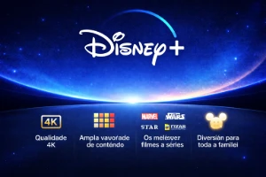Disney/Netflix - 30 Dias - Premium