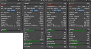 PALADIN 199 E 194, DRUID 139 E KNIGHT 70 - Tibia