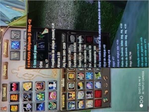 Esp 105 g17up3 +12 pedras atk mag 130 Phoenix - Perfect World PW