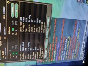 Esp 105 g17up3 +12 pedras atk mag 130 Phoenix - Perfect World PW