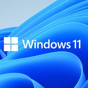 Key Ativação Windows 11 e Windows 10 Entrega Automatica - Assinaturas e Premium