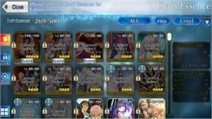 FATE GO SERVIDOR NA 19 SSR 33 SR - Fate Grand Order