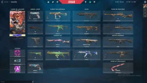 Conta Full Acesso com 18 Skins e Duas Facas ! - Valorant
