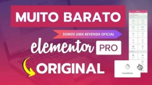 Plugin Elementor Pro / Sempre Atualizado ✅ - Outros