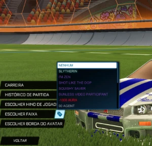 Conta Rocket League + Epic Games com 111 jogos e exclusivos