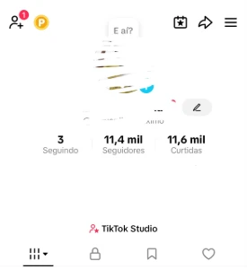 Conta no tiktok com mais de 11mil seguidores monetizando - Redes Sociais