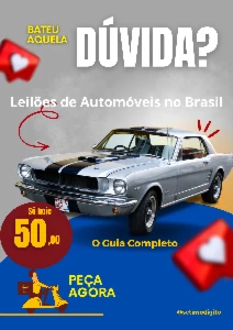 Leilões de Automóveis no Brasil: Guia Completo - eBooks