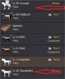 CONTA END GAME GAMEZBD - Black Desert