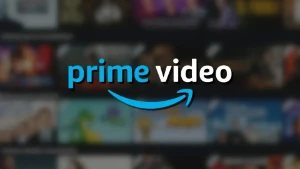 Conta Da Prime Vide - 30 Dias De Garantia - Assinaturas e Premium