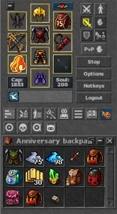 Aurera-Global RP 449 / EK 394 - 2 Bota VIP + Mounts/Addons - Tibia