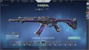 CONTA VALORANT PLAT3 C/VANDAL ANCIFOGO E SAQUEADORA