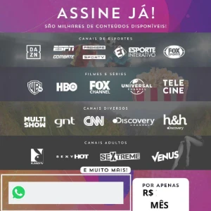 Netflix, Hbo Max E Muito Mais... - Assinaturas e Premium