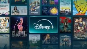 Streaming Hbo Max / Amazon Prime / Netflix Disney  E Muito M - Assinaturas e Premium