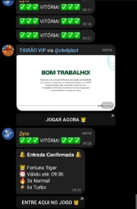 Robôzinho Vip Fortune Tiger (Entrega Automática) - Outros