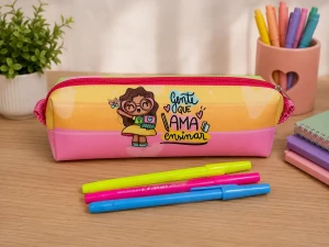 Kit 10 Estojos Personalizados para Professores - Artesanato e Personalizados