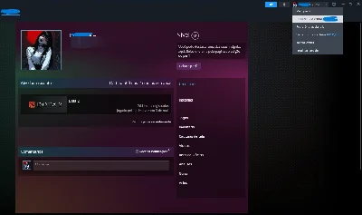 Conta Imortal Dota2 6.4k - DOTA 2