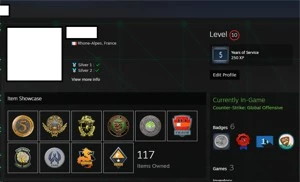CONTA CSGO PRIME MUITO TOP! MUITAS MEDALHAS, XERIFE - Counter Strike