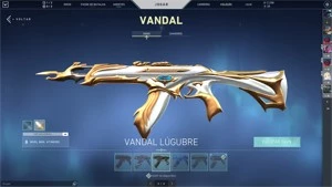 CONTA VALORANT LVL 163  🔥  ANCIFOGO, SAQUEADOR, ETC