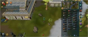 Conta de Runescape com capa 10 anos RS