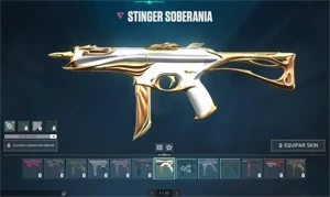 conta com skin plat 2 - Valorant