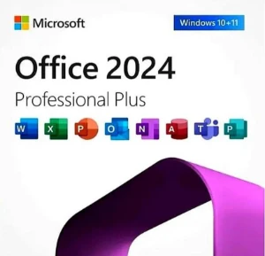 office 2024 pro plus - Outros