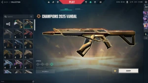 Vendo conta valorant