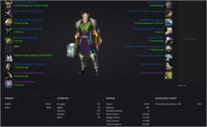 Conta WOW TBC Faerlina Horda - Paladin Lv70 - PreRaid e Farm - Blizzard