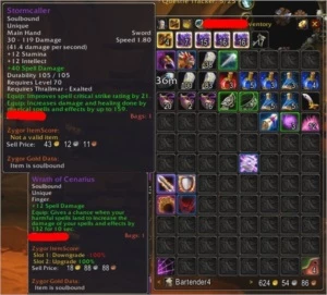 Conta WOW TBC Faerlina Horda - Paladin Lv70 - PreRaid e Farm - Blizzard