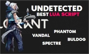 SCRIPT RECOIL VALORANT