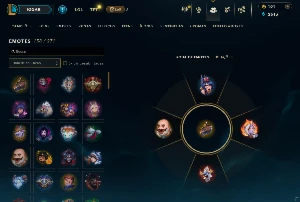 Conta League Of Legends - Main Suporte - 140 Skins LOL