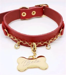 Coleira Personalizada para Cachorro com Nome