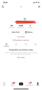 TikTok 14,9K - Redes Sociais
