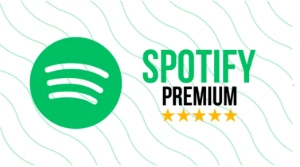 Spotify Anual Somente Promoção! - Outros