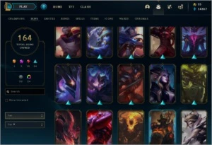 Conta Ouro II COM TODOS OS CAMPEOS E 164 SKINS - League of Legends LOL