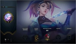 Conta League of Legends level 30 baratinha LOL
