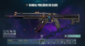 CONTA VALORANT COM MUITA SKIN