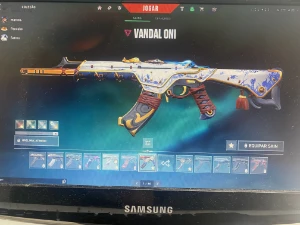 Conta Valorant varias skins ✅