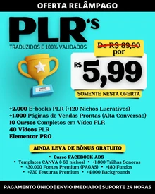 Plr Premium - Nichos Altamente Lucrativos E Validados - Serviços Digitais