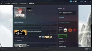 CS:GO PRIME | 2 MEDALHAS | OURO 4 |742 JOGOS | LV 19 STEAM - Counter Strike