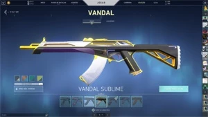 conta valorant desde o beta, com + de 700 reais em skins