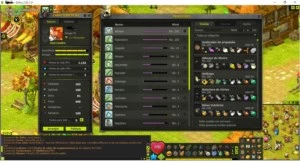 DOFUS ILYZAELLE - 5 CONTAS LVs 200 ! 11.740 sucesso