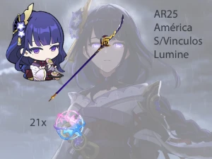 AR25 - Raiden Shogun + BIS + 21 tiros - Genshin Impact