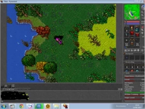 Elder Druid 210 Xantera R$680,00 - com RK, Voucher, Items - Tibia