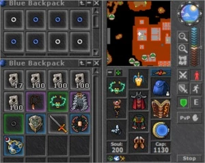 ED LV 233 ML86 REINOBRA NO/PVP - Tibia
