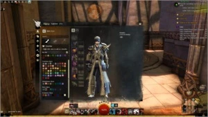 GUILD WARS 2 + EXPANSÕES + comséticos + BOOST DE PERSONAGEM - Outros