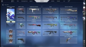 Conta valorant com muita skin
