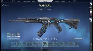 Conta valorant com muita skin