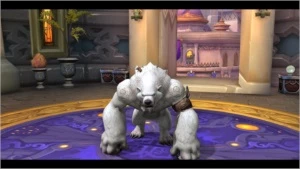 CONTA COM APARÊNCIA DRUIDA  MAGE TOWER DE TANK E FERAL - Blizzard