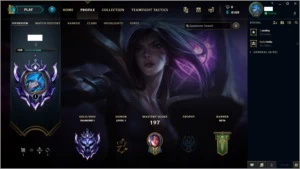 Coach (D1 - Todas as lanes) - League of Legends LOL
